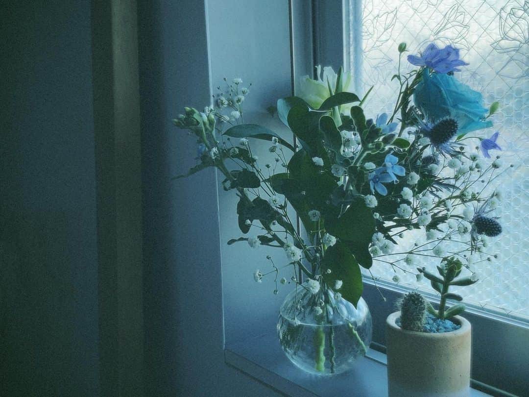 真奈さんのインスタグラム写真 - (真奈Instagram)「おーちがお花だらけ  しあわせ💐  #花まみれ真奈　#thankyou」1月17日 14時08分 - manatmnt0116