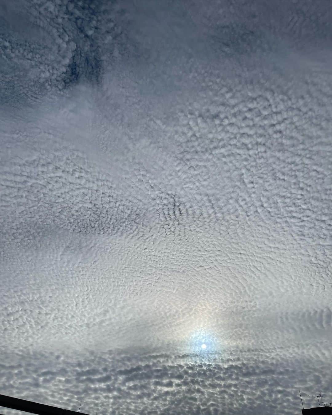 石川亜沙美のインスタグラム：「見上げた空☁️ ・ わぁ〜😲 思わず立ち止まって、 見入ってしまった その瞬間✨✨✨ ・ ・ #2022.1.17 #東京 #うろこ雲 #空 #🙏✨✨」