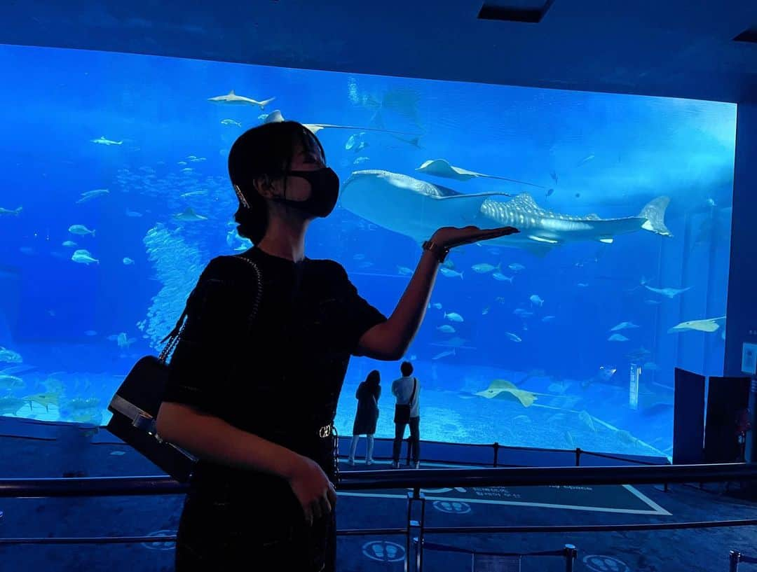 セキユウティンさんのインスタグラム写真 - (セキユウティンInstagram)「癒される🥰🐋  #沖縄美ら海水族館」1月17日 17時39分 - shi_yuting35