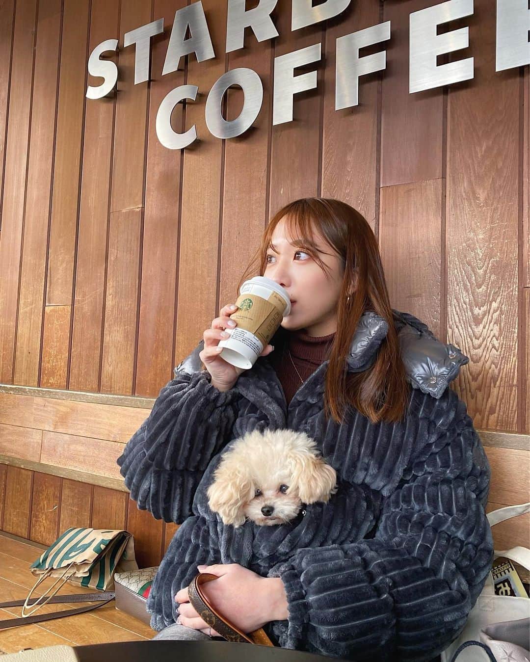 大野真昂のインスタグラム：「ひょっこり🐶♡  お出かけしてもずっと抱っこな甘えん坊さん。笑  このダウンあったかすぎてロコもお気に入り😮‍💨 中に入ってずっと寝てた😮‍💨💕  期間限定のほうじ茶キャラメルクリームティーラテ 美味しかったな。、☕️✌🏼  #starbucks #スターバックス #スタバ新作」