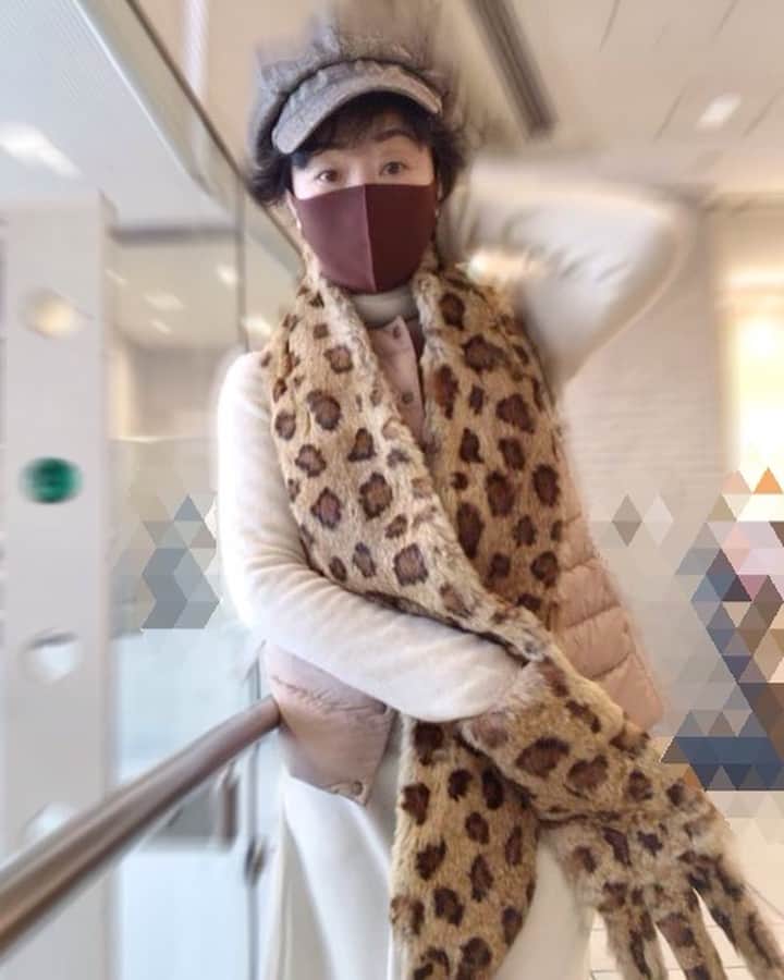 小川知子のインスタグラム