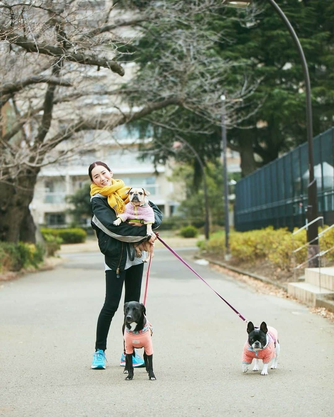 桐山マキさんのインスタグラム写真 - (桐山マキInstagram)「. . . Family photo 🐕‍🦺🐕‍🦺🐕‍🦺♡  この写真好き♡  プロの方が 撮ってくれました！ カズマさんありがとう☺︎  我が家の譲渡犬、保護犬達は 日々の変化が まだまだあります☺︎ 宮古島からやってきた 保護犬のココワカメさんは、 知らない人にも尻尾ふりふり。 一年ちょい前は あんなけ怯えていたのに 嬉しい限りです。  ブー子ちゃんは おトイレがほぼほぼ完璧に👌 他のワンコさんへの警戒心はまだまだありますが とてもとても優しい子です。  小春姉さんは 安定のマイペース🐄  皆、個性豊かで 本当に可愛い✖︎100000  里親さんご希望のかた 個人でシェルターをされてる美帆さんの譲渡会 @rescue_dog_cat  都内で定期的に行われております 是非、チェックしてみて下さいね！  #japan #big #family  #rescuedog  #frenchbulldog  #frebull  #miyakojima  #love #dog #家族写真 #犬好き #ワンコ #保護犬 #可愛い子達 #大切な家族 #保護犬を家族に  #🐕‍🦺」1月17日 21時59分 - maki_kiriyama