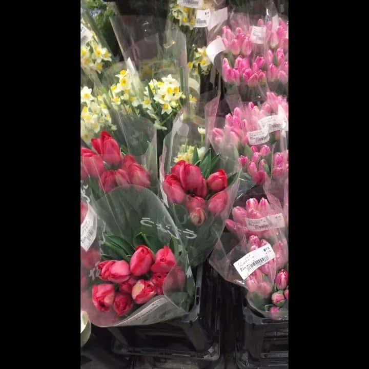真行寺君枝のインスタグラム：「朝、市場に花を買い出しに行きます。20数年、大田市場に通っていますが、どのようなところか、ご覧ください。KIMIÉ  #大田市場 #花咲部 #真行寺君枝 #朝市 #仲卸 #花」