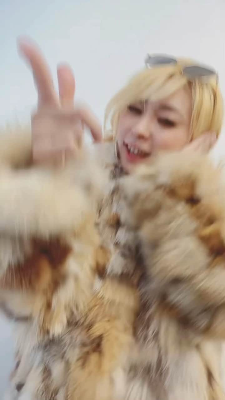 にゃんこスターのインスタグラム