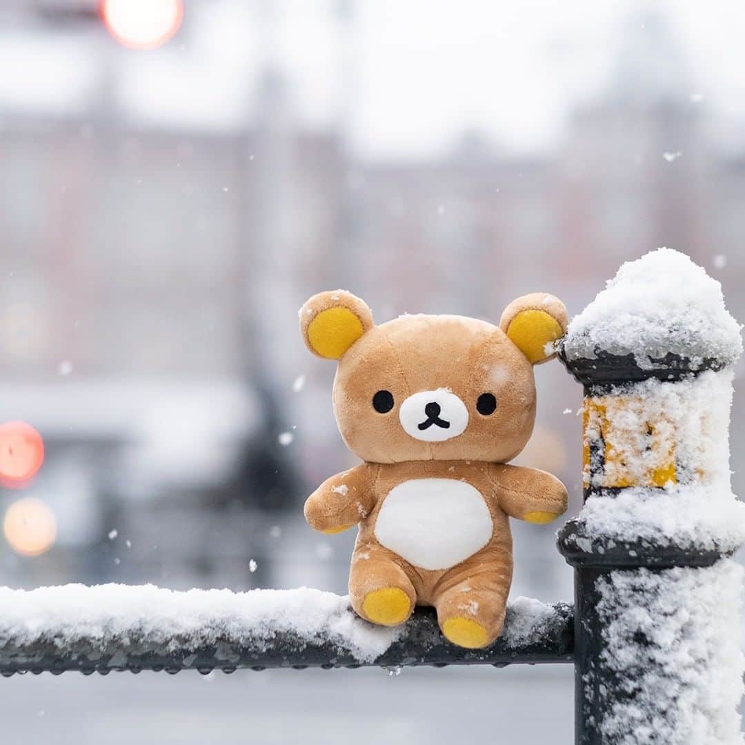 ☆期間限定リラックマ公式Instagram☆さんのインスタグラム写真 - (☆期間限定リラックマ公式Instagram☆Instagram)「【リラックマがいる暮らし＃58】 雪がキラキラ舞う日のお散歩。 ちょうどよいスポットを見つけてパシャリ。 リラックマと一緒なら、寒くないね。  #リラックマがいる暮らし #リラックマ #冬 #雪 #rilakkuma #winter  #snow #拉拉熊 #🐻 #☃️ #⛄️」1月18日 17時00分 - rilakkuma_sanx_official