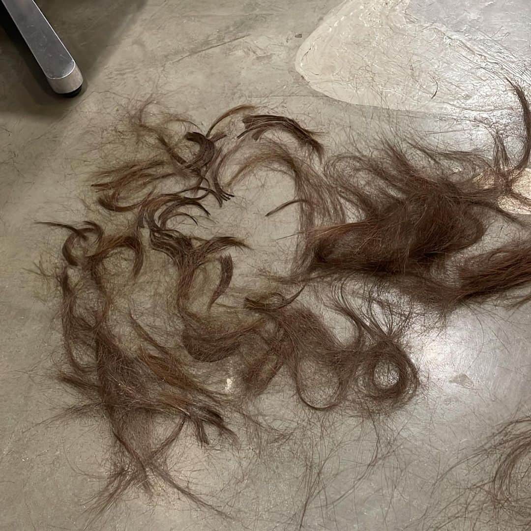 吉田美紀さんのインスタグラム写真 - (吉田美紀Instagram)「・ ・ ちょっとイメチェン♡ ヘアスタイルはもちろん いつもとは違うメイクに ネイルも久しぶりにオトナな赤にしたので思い出に… ・ 撮影で髪を鎖骨下までカットしました✂️ @odaji_abbey  その時のメイクです💄 ・ ・ ヘアスタイルが変わると メイクも冒険してみたくなるし ヘアカラーも少し変えてみたいなぁと思いますね♫ ・ 2022年色んなことにチャレンジして 新しい自分を発見したいな…と感じます･:*+. ・ #hairstyle #newhair #shooting #nail #nailcolor #ヘアスタイル #セミロング #ミディアム #レッドネイル #ワンカラーネイル #ワンカラー」1月19日 8時29分 - miki__yoshida