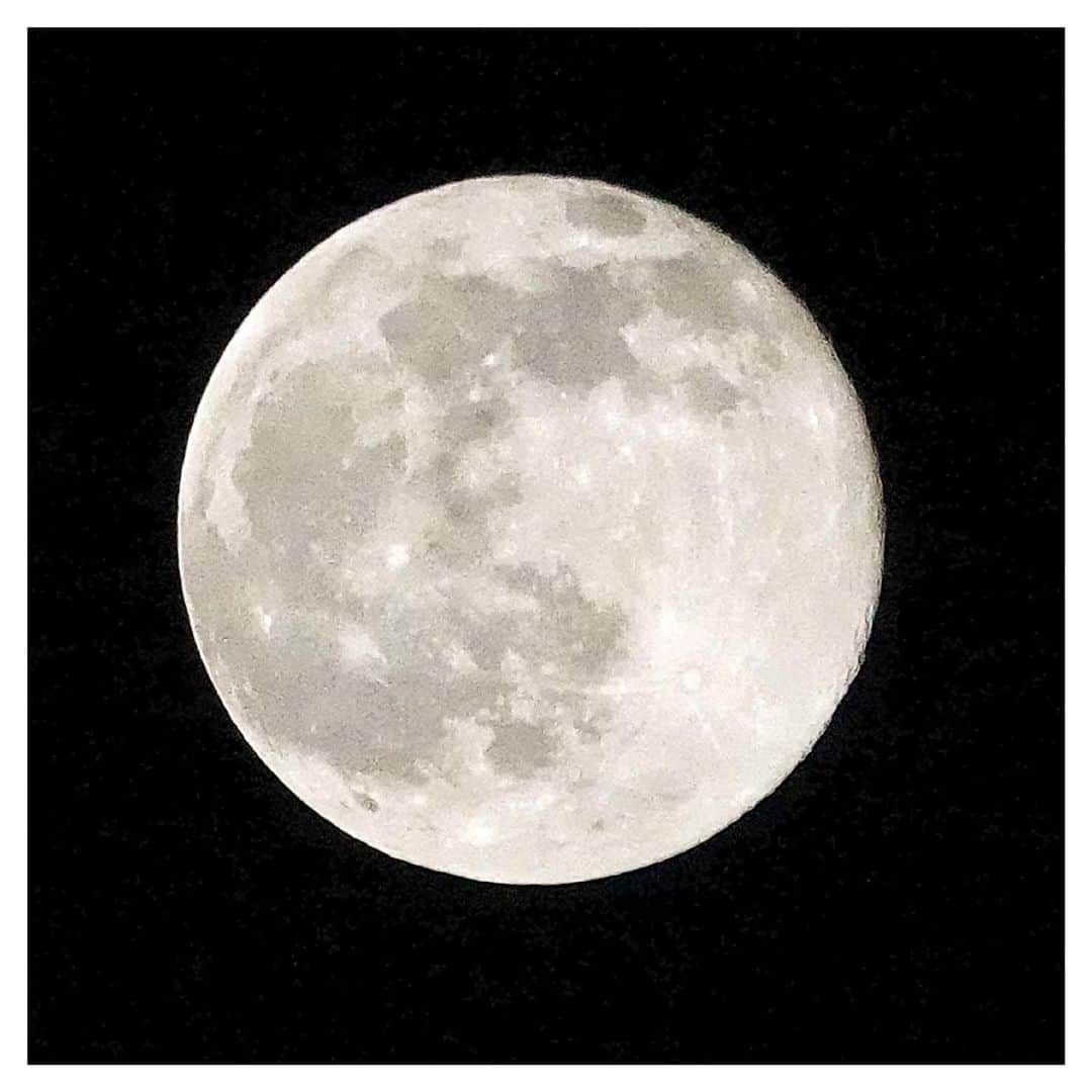 さだまさしさんのインスタグラム写真 - (さだまさしInstagram)「ウルフムーン🌕 今年最初の満月 2022年で地球から最も遠い満月だそうです。 . #満月 #ウルフムーン #さだまさし #sadamasashi」1月18日 23時47分 - sada_masashi