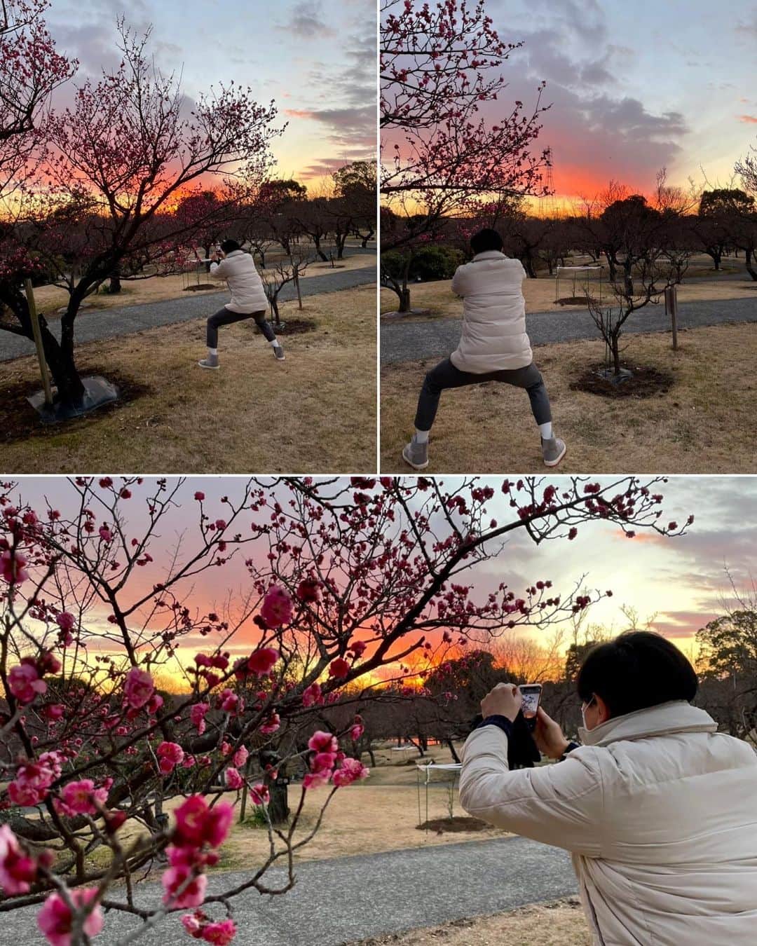 依田司さんのインスタグラム写真 - (依田司Instagram)「1月19日(水) 神奈川県の小田原フラワーガーデンから。 早咲きの八重寒紅は、すでに満開。白梅の冬至や八重野梅も開花が進んでいます。ちなみに、私と同じ名前の緋の司と司絞りは、まだつぼみで今後が楽しみ。こちらには200品種480本の梅があり、このあと中咲き、遅咲きと3月まで楽しめます。あさって金曜日から梅まつりが開催されますが、こんな時にも空いている時間に行ってのんびり散策したいですね。小田原のかまぼこと練り梅がたまらない「梅まつりそば」がおススメです。 ハウス内では、赤いふわふわのレッドパウダーパフと幻の黄色い椿とも言われるキンカチャも必見です。  昨日の雪だいぶバタバタは「スノーエンジェル」といいます。ご存じない方が多く、大の字でバタバタと書かれていて汗をかきました笑。安全を確保して行っていますので、良い子は真似しないでね。  ウェザーニュースアプリでフォローいただいた皆様、ありがとうございます。皆さん全員をフォローバックさせて頂きました。 このところ、ウェザーニュースアプリにリポートをあげるのが日課となっていまして、真剣にリポート用写真を撮っているところをスタッフに撮られました。足が笑。  #小田原フラワーガーデン #梅もう見ごろ #DoCLASSE #ドゥクラッセ #依田さん #依田司 #お天気検定 #テレビ朝日 #グッドモーニング #サタデーステーション #気象予報士 #お天気キャスター #japan #japantrip #japantravel #unknownjapan #japanAdventure #japanlife #lifeinjapan #instagramjapan #instajapan #療癒 #ilovejapan #weather #weathercaster #weatherforecast」1月19日 10時21分 - tsukasa_yoda