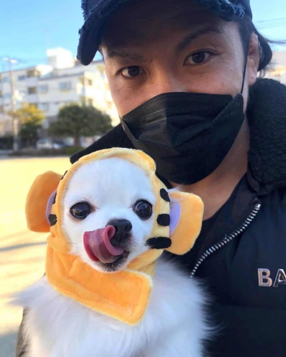 石森太二のインスタグラム：「ペロリ🐶  #コタイガー #新春黄金シリーズ #こたろう」