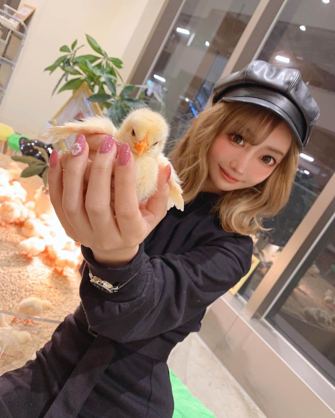 のインスタグラム：「【🐣🌟🐣🌟🐣🌟🐣⠀】 アニマルカフェ楽しかった~🐻💗 可愛い動物たちに癒された🐢 2枚目は🐍を首に巻いてもらった🤣❤️❤️ . たくさん動画に癒されて楽しい1日でした😙💓 . #moffanimalcafe #ひよこ #ぴよぴよ #animal  #蛇 #ヘビ #動物カフェ」