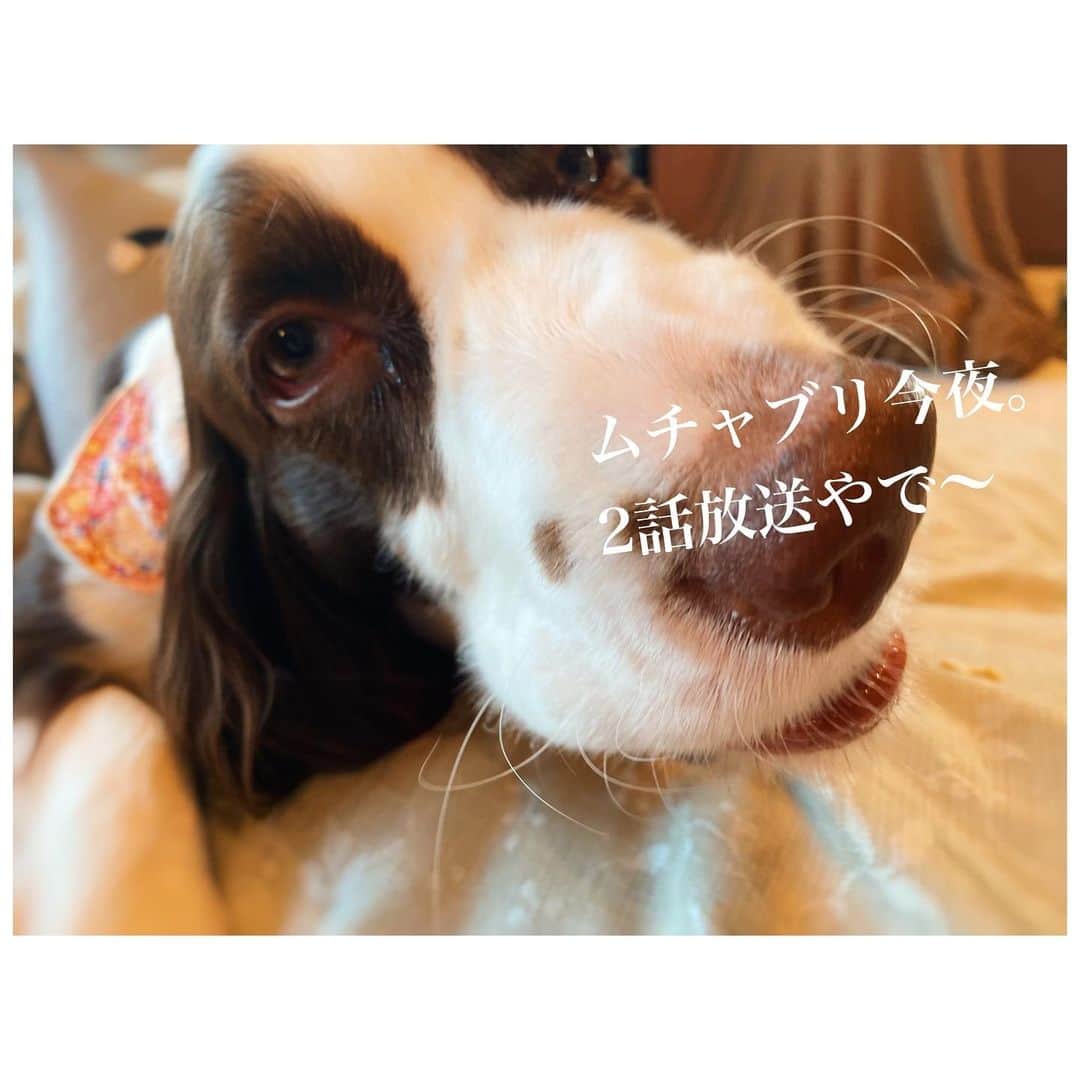高畑充希さんのインスタグラム写真 - (高畑充希Instagram)1月19日 19時06分 - mitsuki_takahata