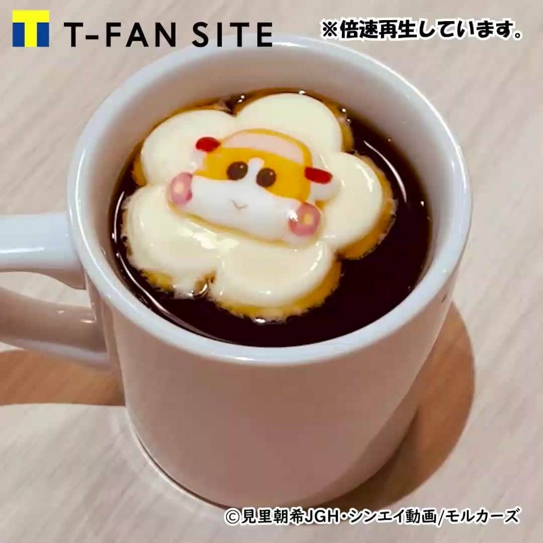 T-FAN SITEのインスタグラム：「商品開発のだこちゃんです😊✌  じゃーん👏✨ #モルカー ファン必見 ❣の 「とろけるマシュマロ」を紹介っ✨ 【とろけるマシュマロ　PUI PUI モルカー】  コーヒーやココアなどの温かい飲み物の上に浮かばせると、 じゅわぁぁ‥と溶けていくとっても可愛いマシュマロなのです☕💕  お子様も大喜び間違いなし🐹❣  #PUIPUIモルカー  #マシュマロ  #そのまま食べてももちろんおいしい   #あたたまる #温まる #とろける　#癒しの時間 #ぷにぷに　#柔らか　#かわいいお菓子」