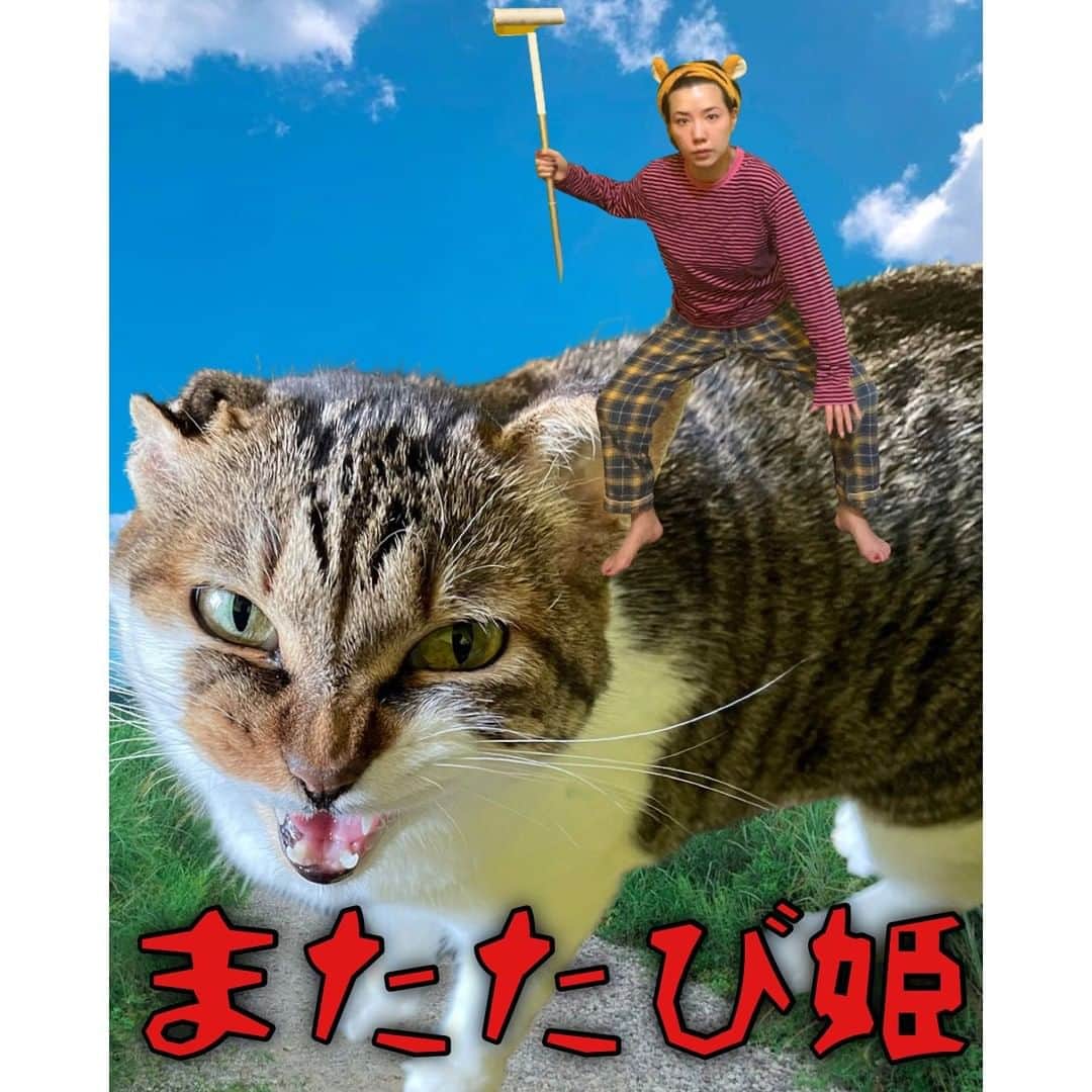 仲里依紗のインスタグラム：「あけましておめでとうってゆー 投稿してなかった そーいえば🐈 あけおめことよろおとしだま👋🏻 とりあえず今日もYouTubeアップしましたよ🐈 みて〜🐅  #またたび姫 #この画像深夜3時に飛び起きて作ったよ」