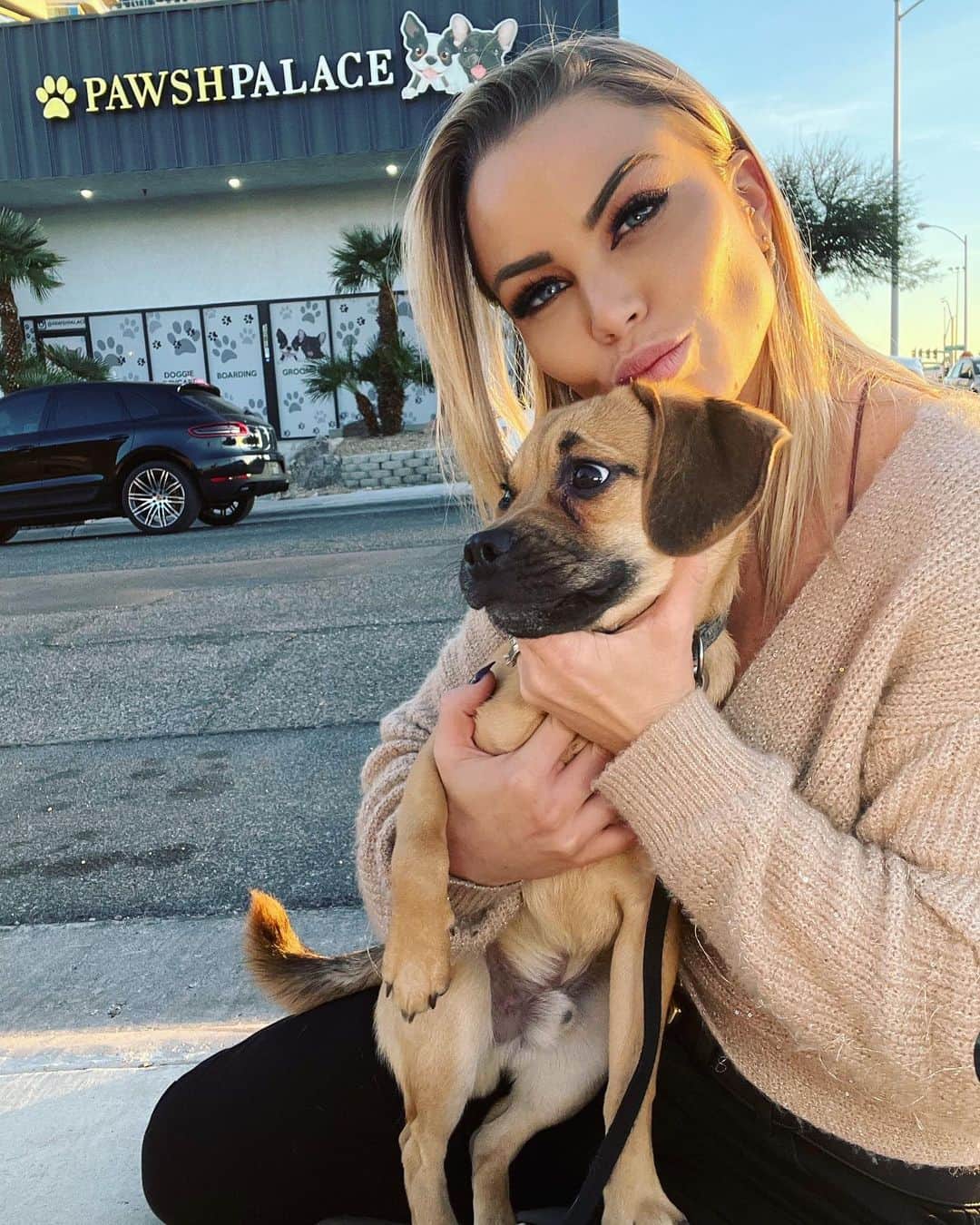 Lauren Drain Kaganのインスタグラム：「Need a doggie daycare in Vegas? @littlepugglejax LOVES @pawshpalace - they offer boarding, grooming, training and more! The staff is so kind and attentive to the pups! The doggies get walked every hour, socialize and play for hours and get to rest in their own private rooms with their doggie beds & toys for 12 hours at night with various private room sizes to choose from! The staff sends tons of pic and video updates daily along with a report on how the pup is doing!」