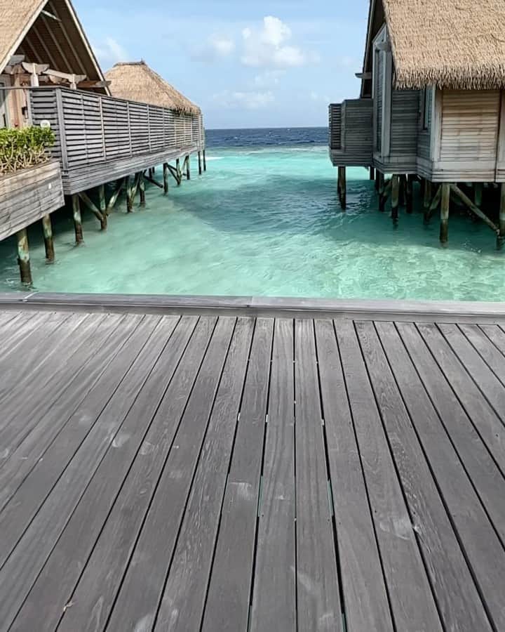 レナータ・ファンのインスタグラム：「Uma rápida passadinha para desejar um dia enérgico, ativo e feliz para vcs aqui! 🙏🏻☀️🚴🏻🦋👙🏖🐠🌎 vídeo @atilaabreu51 #ferias #vacation #vacaciones #vacanza #vacances #maldives」