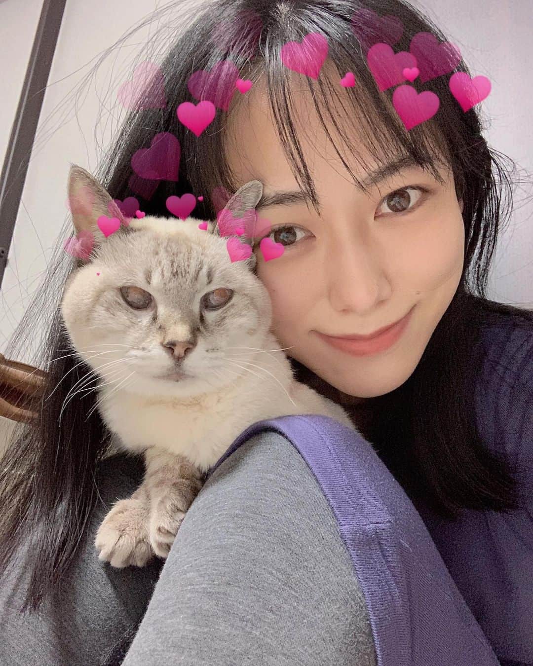 柏木美里のインスタグラム：「Happy birthday to me!! 今年も誕生日を猫と元気に迎えられて幸せです😽✨  明後日22日はフェスタソーレ東京撮影会です❗️ 予約があんまり入っていないみたいなので😿 是非是非ご参加下さいませ〜❣️  #birthday #一番最初に連絡くれたのはお兄ちゃん笑 #何歳か忘れたけど #今年も健康で良い年になりますように」