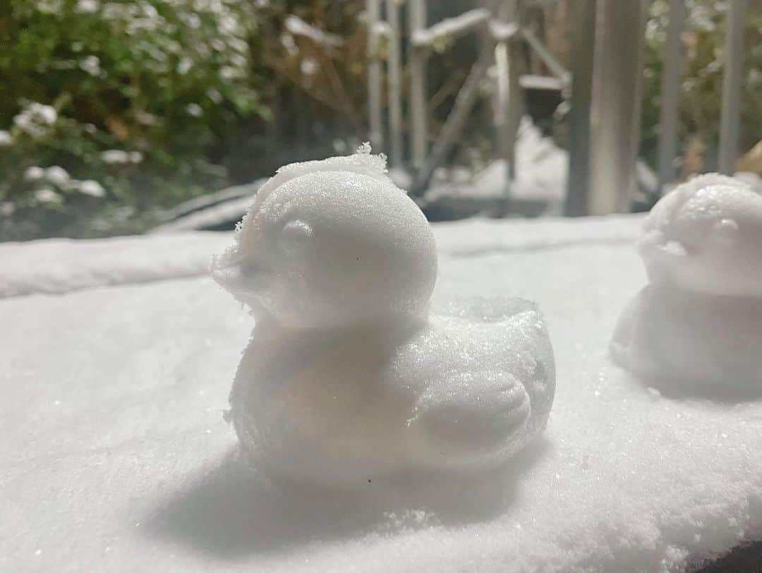 ユン・ウネさんのインスタグラム写真 - (ユン・ウネInstagram)「I made my snow ducks too!! After all my failures I found my own knowhows!!!^^ 🌨 🦆   #스노우덕」1月20日 18時51分 - y1003_grace
