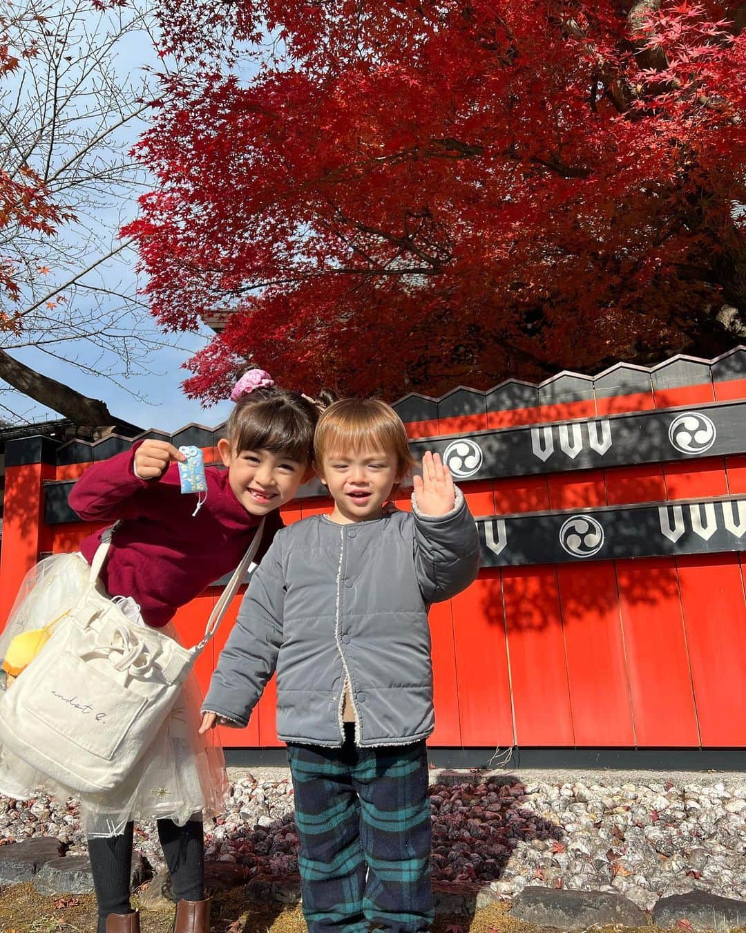 アレン明亜莉クレアさんのインスタグラム写真 - (アレン明亜莉クレアInstagram)「❤️  12月に京都の#車折神社  朱塗りの玉垣を奉納しました🙏  本日、玉垣が設置された写真が届きました〜 見に行きたいな〜😣💕  ご利益がありますように〜✨  今年も頑張ります💓  メアリーが応援している モーニング娘。生田衣梨奈さん の玉垣も発見です✨ 今年も応援しています〜♪ @erina_ikuta.official さん  #神社参拝 #芸能神社 #京都 #生田衣梨奈 さん　#モーニング娘。さん #えりぽんかわいい #京都旅行 #奉納 #今年も頑張ります #子役 #モデル #ハーフ子役」1月20日 19時45分 - mary.2015c