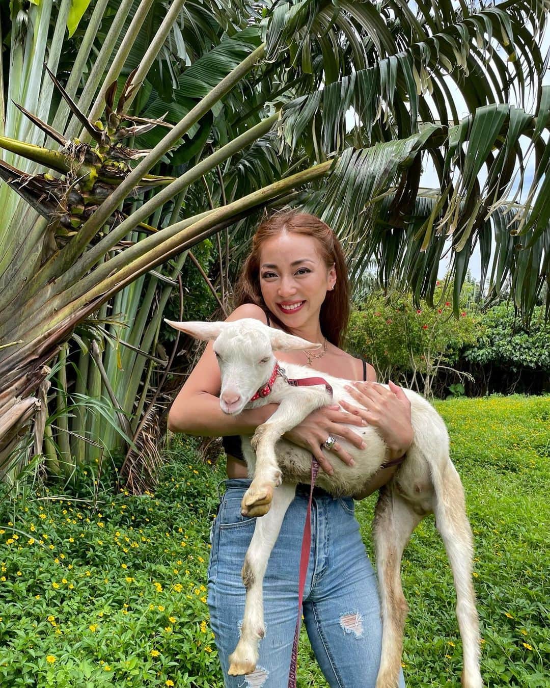 細井宏美さんのインスタグラム写真 - (細井宏美Instagram)「🌴🐐🌴Smile😍🌴🐐🌴 可愛すぎるだろ‼︎‼︎‼︎ #smile#goat#cute#石垣島#自然」1月20日 19時54分 - romihi_romihi