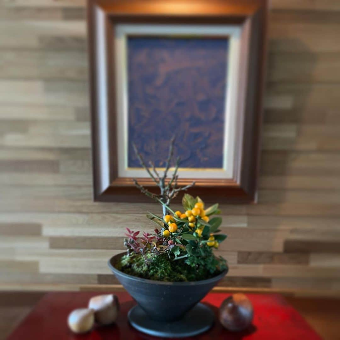 行正り香さんのインスタグラム写真 - (行正り香Instagram)「玄関に京都から届いた寄木を飾らせていただきました。小さな日本の春を迎えられた気分です。そうそう。本日の21:30-趣味どきっ、NHKのEテレ番組で北欧インテリアのご紹介です。#行正り香 #rikayukimasa #趣味どきっ#京都#花政 #こちらは玄関です。」12月28日 12時13分 - rikayukimasa