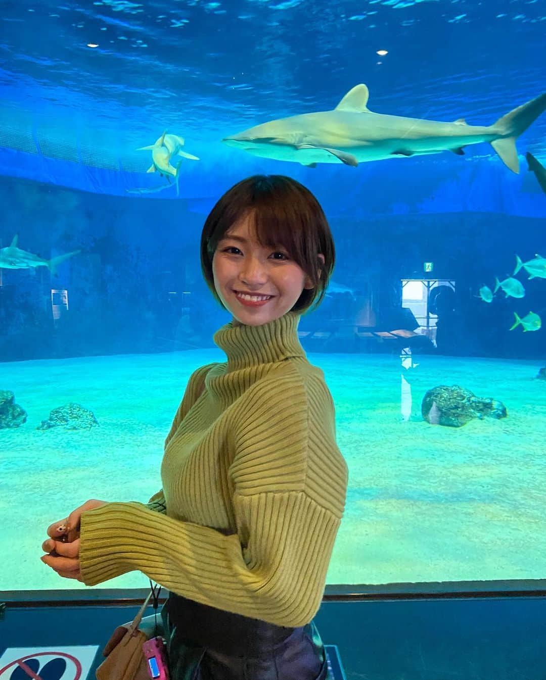 小坂田純奈さんのインスタグラム写真 - (小坂田純奈Instagram)「定期的に水族館に行きたくなる🐠  #ショート女子 #美ら海水族館 #水族館好き #水族館巡り #サメ」12月28日 21時09分 - official_junata