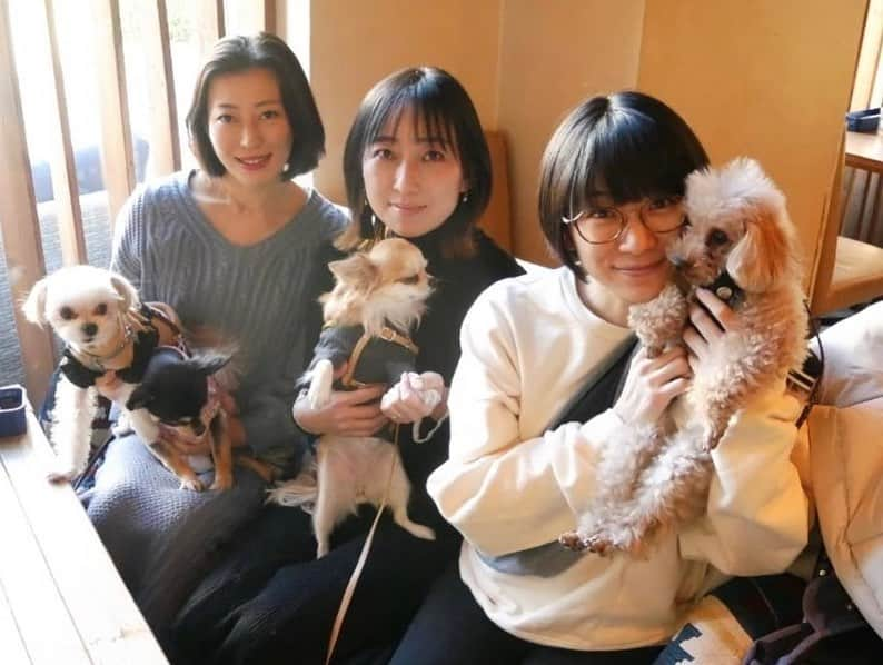 時東ぁみさんのインスタグラム写真 - (時東ぁみInstagram)「今年最後のわんこ会🐶 ・ 我が愛犬…最年長なのにダントツ落ち着きがない…w 困ったもんです。。。 ・ それでも付き合ってくれるわんこ仲間に感謝です〜！！ みんな良い子！みんな可愛い！！ また来年も集まりましょう🐶♡ ・ #時東ぁみ #わんこ会 #犬友 #犬会 #愛犬 #dog #トイプードル #toypoodle #チワワ #chiwawa #チワマル #chiwamaru #ドッグカフェ #みんな可愛い #可愛いの集合体 #可愛いは正義 #推しが尊い #来年もまた #いぬすたぐらむ #犬バカ部」12月29日 8時18分 - amitokito