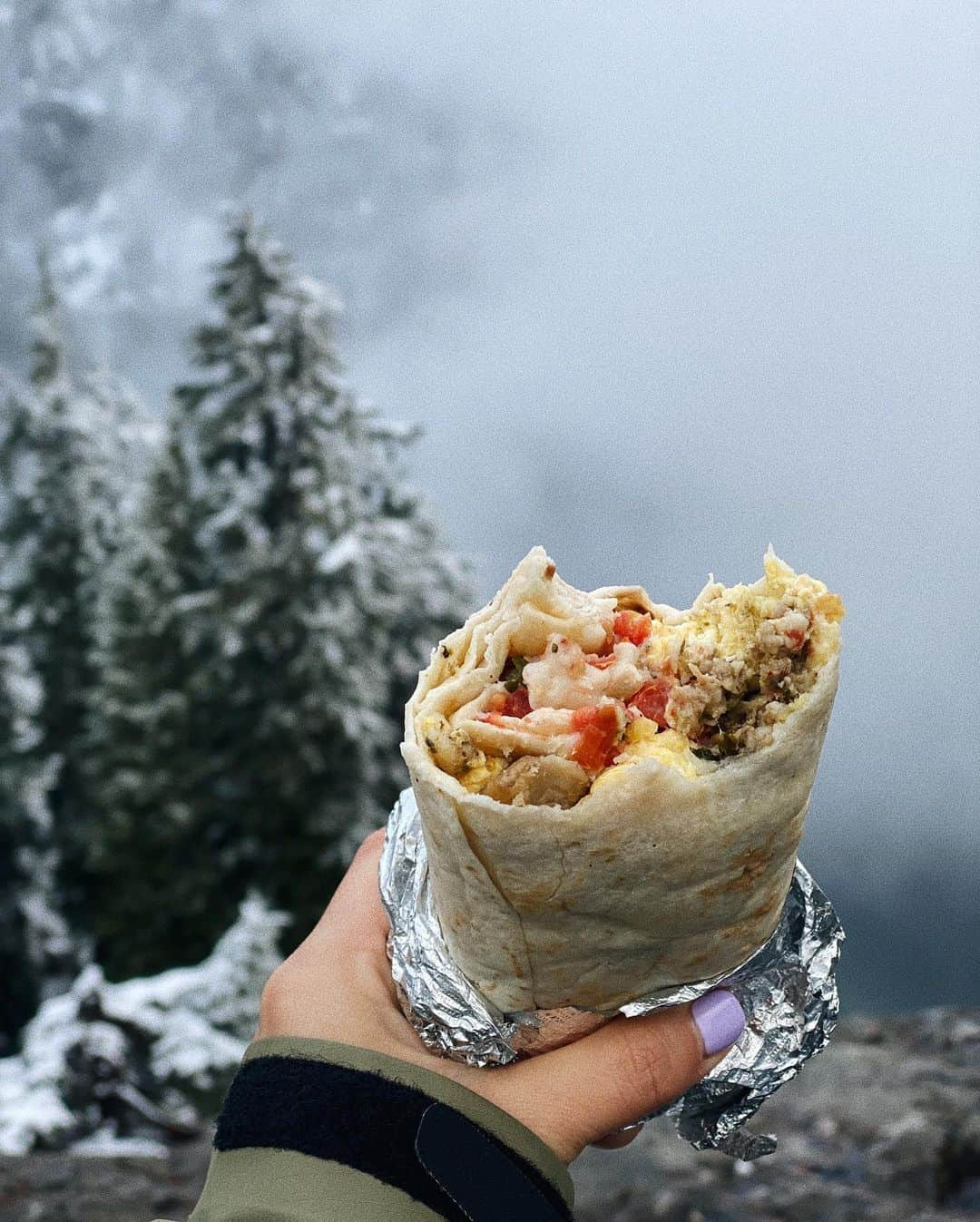 福原かれんさんのインスタグラム写真 - (福原かれんInstagram)「Snow Lake in December  Thank you @keithtio for capturing nature’s beauty - excluding my burrito」12月29日 7時06分 - karenfukuhara