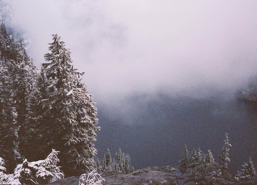 福原かれんさんのインスタグラム写真 - (福原かれんInstagram)「🌲❄️🪨」12月29日 7時11分 - karenfukuhara