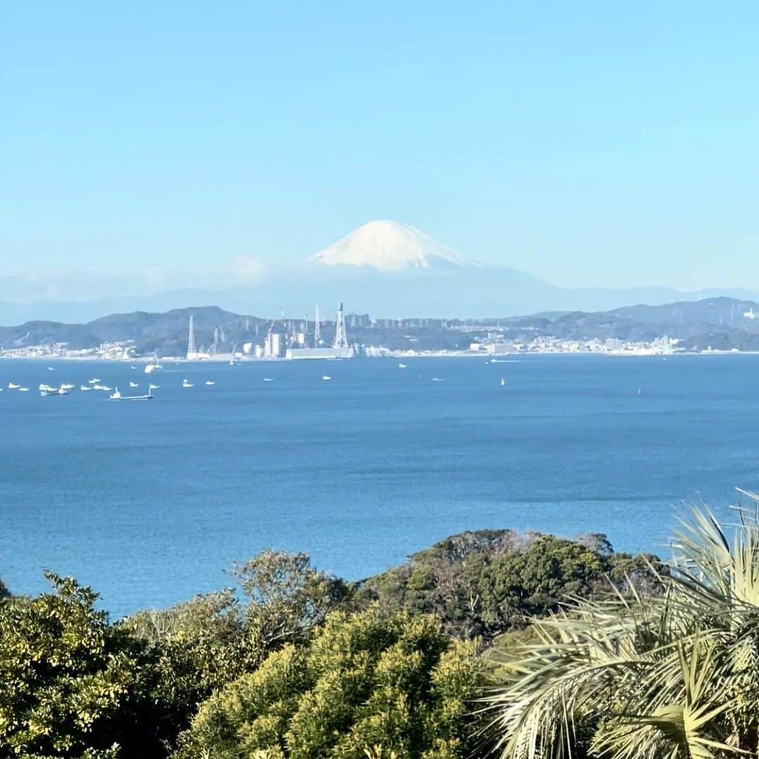吉田玲奈さんのインスタグラム写真 - (吉田玲奈Instagram)「2021⛳️打ち納め 海が見えて素敵✨トリッキーなコースだけど富士山がずっと見えて綺麗でした⛳️  アルチビオの赤ニットとスカートにリスト&アンクルウォーマー♡ タイツがツートンカラーなので目の錯覚で足細く見えるの嬉しい❣️ @archivio.official_online   この日はコンペで私はめちゃうま紳士と3サム⛳️ （ふたりは2オーバーと5オーバー） ✪7枚目スコア…最初ふたりについて行ってパー3連ちゃんだったのに…酷すぎた💣 🔴から短いのに変なミス多すぎ…💧 下手なので練習します😭 上手い人だって辛い中必死で頑張ってるんだって！😤見えなーい！！ 簡単にパーとバーディ取っていくw 悔しい…  🔴45/46  91  ✪5枚目…最終ホール動画。 唯一の動画なのにこのザマ💦 （ボールは左OBギリギリにあった😅） 来年もがんばりますー♪  #enjoygolf #景色綺麗  #12月ゴルフ #冬ゴルフ #ごるふ女子  #ゴルフ女子 #ゴルフオトナ女子 #ゴルフウェア  #アルチビオ #archivio #bushnellgolf #ピンシーカーツアーv5シフトスリムジョルト  #限定色 #スノーホワイト #ゴルフ #ゴルフ動画 #ゴルフスイング  #ゴルフコーデ #eyevol #golfstagram  #golfwear  #golfswing  #golfgirl  #golfshot  #callawaygolf  #pinggolf  #golfcoursephotography  #reinagolf」12月29日 12時19分 - reina.yoshida.ciel.1218