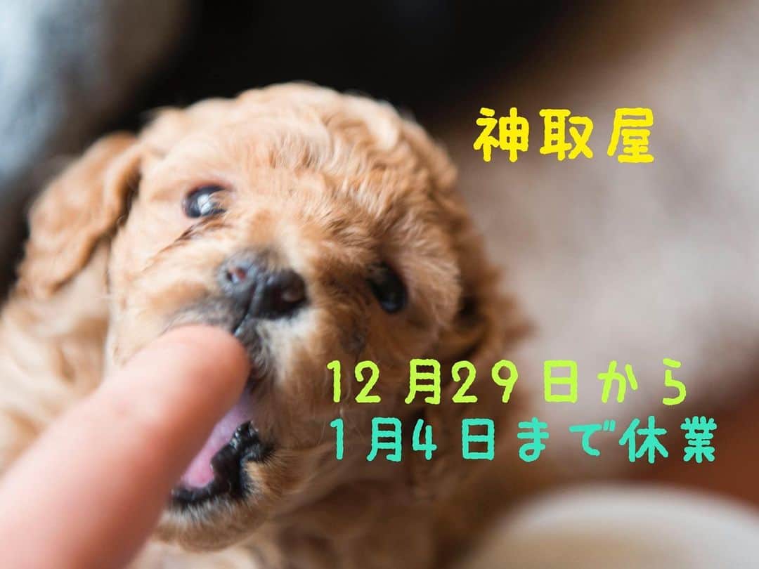 井上貴子のインスタグラム：「神取屋を ごひいきにして下さってるみなさま 日頃からお世話になりまして ありがとうございます  29日から1月4日まで休業となります  ご注文は出来ますが 発送は5日以降となります  ご了承ください  来年も神取屋をよろしくお願い致します  Happyで^ ^  #神取屋 #https://llpwx.official.ec #通販サイト #カンドリーチキンカレー #cacatocacat」
