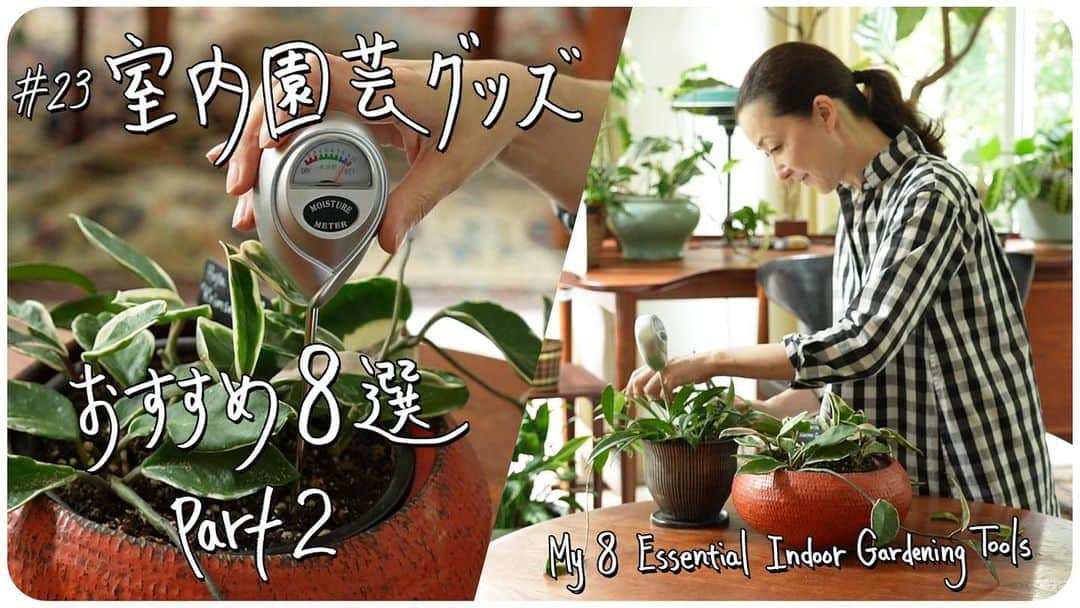 桐島かれんのインスタグラム