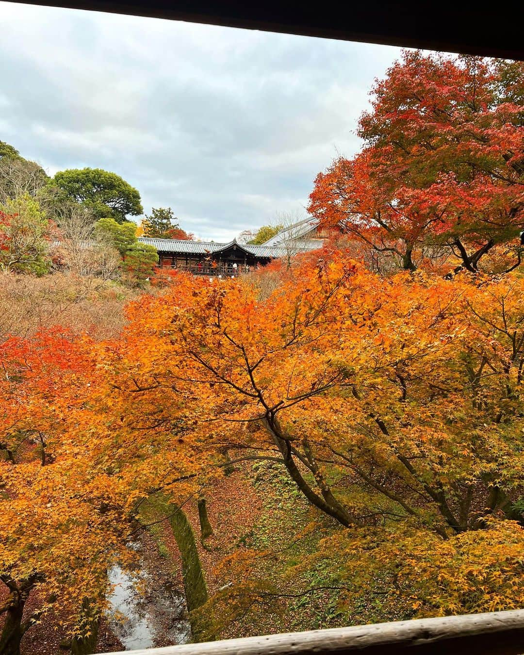 得あゆさんのインスタグラム写真 - (得あゆInstagram)「京都に紅葉観に行った時の🍁 (めっちゃ時差。笑)  ここは東福寺さん🍁→→→→ ピークを過ぎていったのにも関わらず 見応え抜群でした🤍 来年はどこいこうかな〜！ おすすめあれば教えて下さい🤍 ・ ・ ・ ・ ・ ・ ・ ・ ・ ・ ・ ・ ・ ・ ・ #東福寺#紅葉#京都#京都観光#京都紅葉#紅葉スポット#紅葉デート#紅葉狩り#お寺巡り#京都グルメ#子育てママ#主婦#ママコーデ#ママファッション#ママカメラ#ママライフ#夫婦デート#家族旅行#思い出#年末#年末年始#今年もあと少し#今年もお世話になりました#プレママ#プレママライフ#コート#kyototrip#autumnleaves#kyotojapan#temple」12月29日 21時35分 - tokuayu819