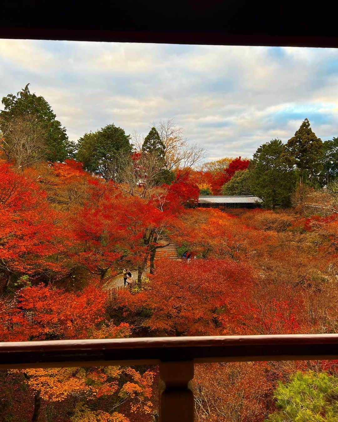 得あゆさんのインスタグラム写真 - (得あゆInstagram)「京都に紅葉観に行った時の🍁 (めっちゃ時差。笑)  ここは東福寺さん🍁→→→→ ピークを過ぎていったのにも関わらず 見応え抜群でした🤍 来年はどこいこうかな〜！ おすすめあれば教えて下さい🤍 ・ ・ ・ ・ ・ ・ ・ ・ ・ ・ ・ ・ ・ ・ ・ #東福寺#紅葉#京都#京都観光#京都紅葉#紅葉スポット#紅葉デート#紅葉狩り#お寺巡り#京都グルメ#子育てママ#主婦#ママコーデ#ママファッション#ママカメラ#ママライフ#夫婦デート#家族旅行#思い出#年末#年末年始#今年もあと少し#今年もお世話になりました#プレママ#プレママライフ#コート#kyototrip#autumnleaves#kyotojapan#temple」12月29日 21時35分 - tokuayu819