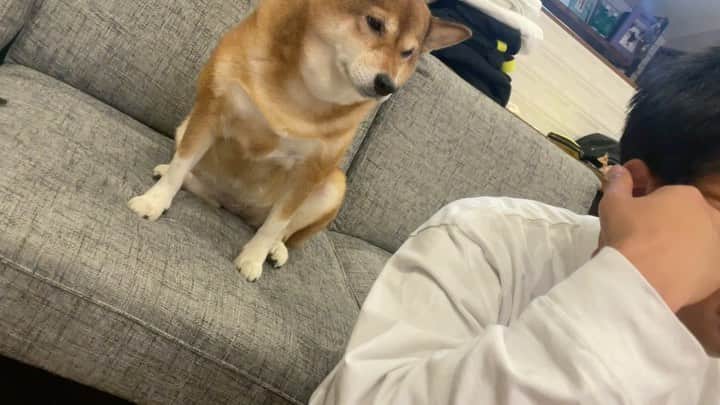 尾形貴弘のインスタグラム