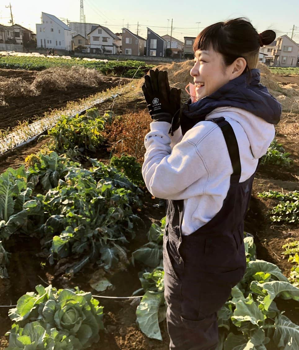 加藤紀子さんのインスタグラム写真 - (加藤紀子Instagram)「今日は2021年度の畑納め、 畑に「ありがとう」を言いに行ってきました。  種を蒔き 苗を作り 耕し 植え 収穫 調理して、頂く。  当たり前に食べる事 でも、食べる前に必要な仕事。  まだまだ知らない事ばかり ながらも、いっぱい学べた一年となりました！ お世話になった皆様、本当にありがとうございました😊  #カトノリ農園 #畑からこんにちは #加藤紀子のおいしい畑」12月30日 0時03分 - katonoriko