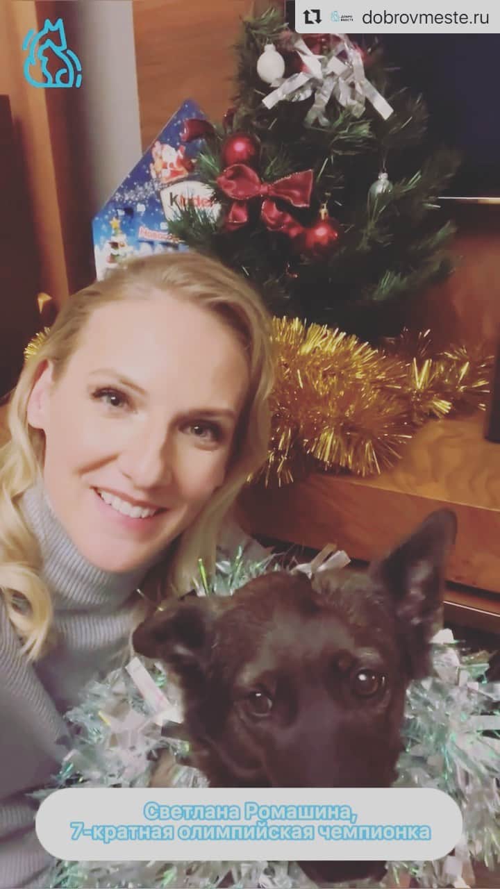 スベトラーナ・ロマシナのインスタグラム：「#Repost @dobrovmeste.ru ・・・ Накорми бродягу в канун Нового года 🎄  Главный праздник зимы стремительно приближается — уже через несколько дней куранты пробьют двенадцать. Это значит, что совсем скоро наступит новый год для добра, взаимовыручки и сопереживания.   2021 мы провожаем с горящими сердцами и новым, особенным видео, которое мы подготовили совместно с @a030aa @lenaborshcheva @dianapegas @ortmanirina @toneva_official @anettaorlova @zimofey  @svetlanaromashina   Это наше общее послание каждому, кто чувствует в себя потребность помочь и завершить год небольшим подвигом: дерзайте!   Ваша доброта, пожертвование или тёплое пожелание могут стать тем волшебным ингредиентом, который сделает жизнь бездомных животных легче.  Переходите по ссылке в профиле, чтобы в канун этого Нового года все Бродяги были сыты 🐾」