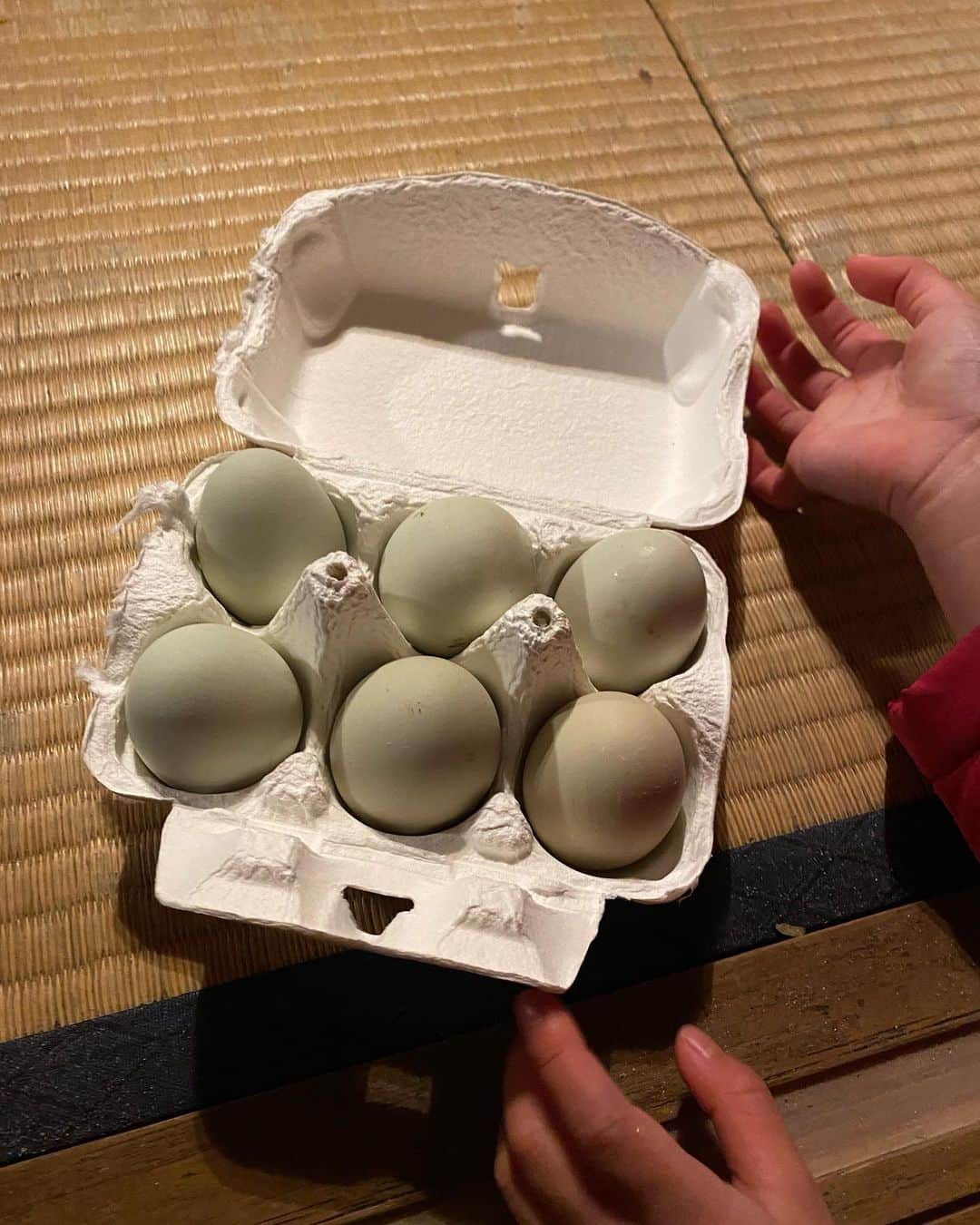 高垣麗子さんのインスタグラム写真 - (高垣麗子Instagram)「* はじめてスーパー以外で卵を✨  それも「アローカナ」という殻の青い卵です🐓💙  夜だったから鶏さん達は皆んな大人しかったよ𓂃𓂃  娘は、中に🐣ひよこさんがいるから食べられない...と言っていたけど、先程、明日の朝のオムレツは一緒に作りたい！と食べる気満々でした...  鶏が卵を産む 知ってはいても実際に自分の目で確かめることって大切だと思う  そして、今まで以上に有り難みを感じますね🙏🏻✨  まめったい農園さん 有難うございました☺️✨  夜空一面の星も綺麗だったなぁ✨✨  * #まめったい農園  #アローカナ」12月30日 21時22分 - reikotakagaki
