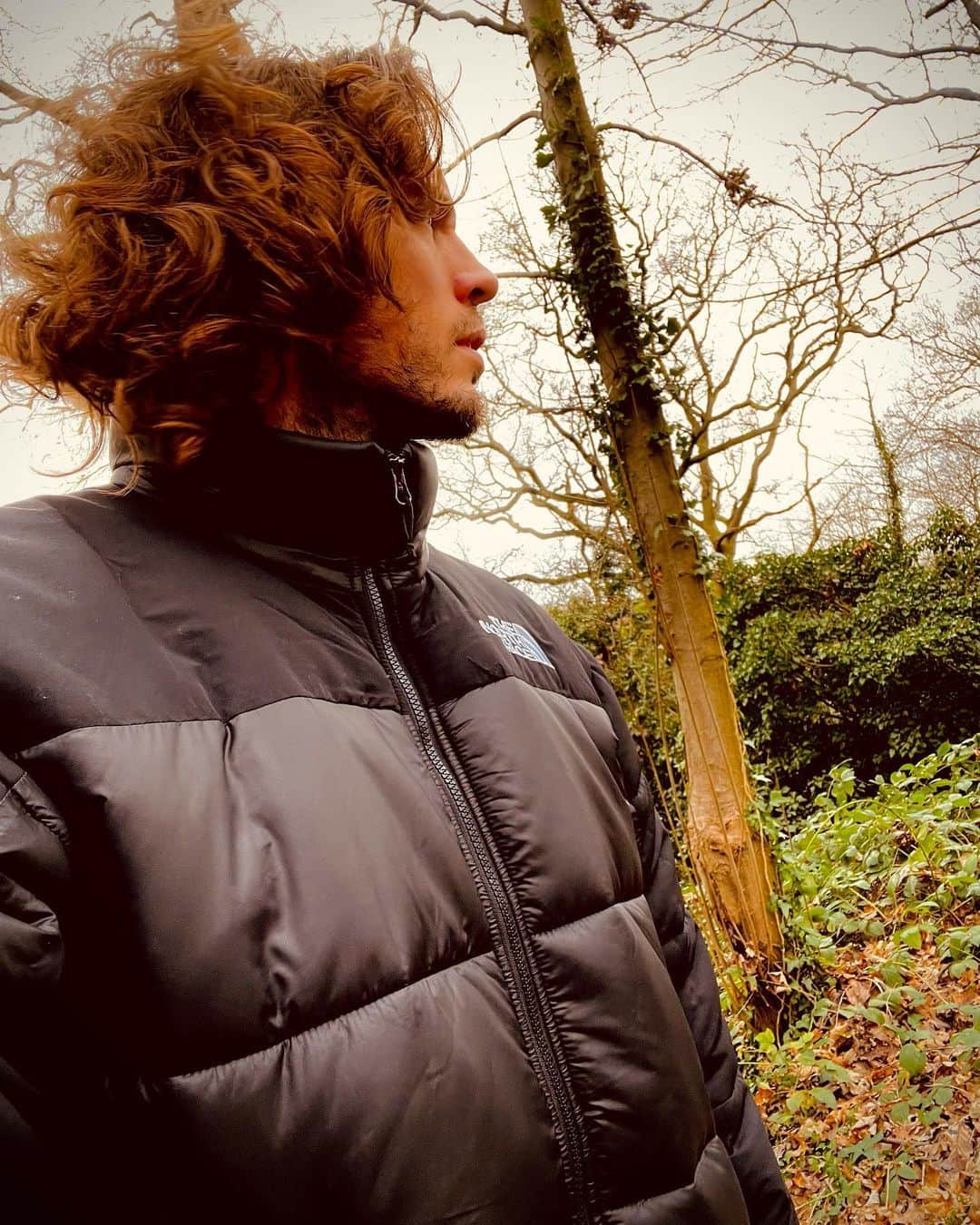 サム・クラフリンのインスタグラム：「wintery windy wood walk」