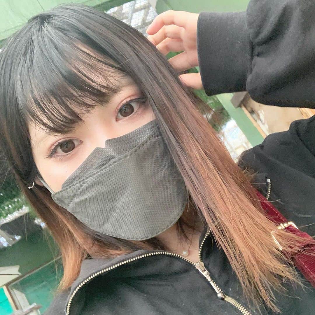 當眞清良さんのインスタグラム写真 - (當眞清良Instagram)「. 🐰🧏🏻‍♀️🐔🐰 . #いいね #いいね返し #フォロー #フォロー返し #fff #lfl #l4l #f4f #좋아요 #좋아요반사 #좋아요태러 #좋아요환영 #인스타그램 #팔로우 #인친 #인친황영 #친스타그램 #소통 #맞팔 #선팔 #선팔하면맞팔 #셀카 #셀카놀이 #셀카타임 #셀카샷 #셀피 #셀카그램 #얼스타그램」12月30日 13時35分 - kiyotalo
