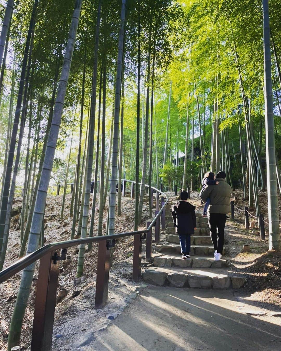 丸橋祐介さんのインスタグラム写真 - (丸橋祐介Instagram)「今シーズンも応援ありがとうございました‼️ 来シーズンもよろしくお願いします。  offに入りリフレッシュしてきました✨✨  #セレッソ大阪 #14 #家族旅行 #ふふ奈良 #めっちゃよかった #せんと君 #奈良公園 #シカ #2人ともビビりすぎ #2021 #ほな」12月30日 13時52分 - maruhashi_yusuke