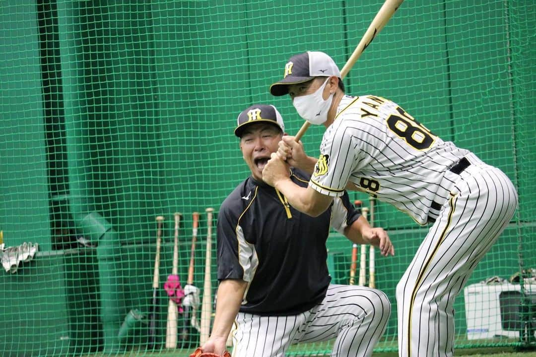 阪神タイガースさんのインスタグラム写真 - (阪神タイガースInstagram)「今日も、まだお届けできていなかった蔵出し写真を公開します✨  #植田海 選手#熊谷敬宥 選手#大山悠輔 選手#齋藤友貴哉 選手#及川雅貴 選手#中野拓夢 選手#矢野燿大 監督#井上一樹 ヘッドコーチ 最後はボールから#ジェフリーマルテ 選手を守る??#糸井嘉男 選手です！ #阪神タイガース」12月30日 16時26分 - hanshintigers_official