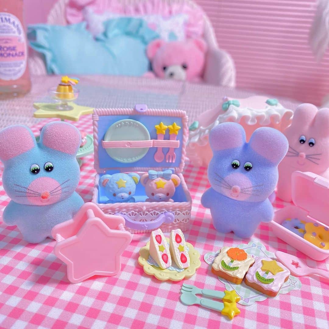 まろんちゃんのインスタグラム