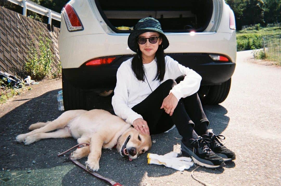 矢野由希子のインスタグラム：「いっっっっぬっ  #いぬ #犬 #🐶 #🐕  #ゴールデンレトリバー #写ルンです」