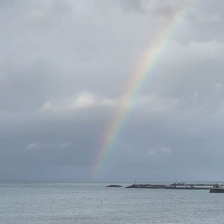 田中律子のグルメインスタ