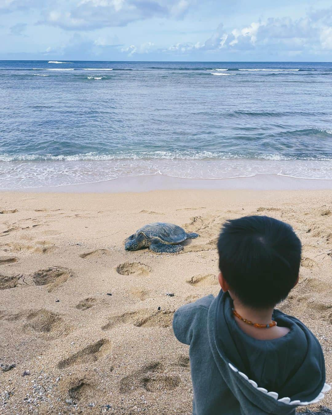 吉川ひなのさんのインスタグラム写真 - (吉川ひなのInstagram)「今年最後の企画になったわたしのオンラインサロンにたくさんの方が参加してくれて、2021年は仲間がいっぱい増えた最高の年になりました☺️  オンラインサロン第一期メンバーの募集は、残り16時間で終了となります。  みんないつもほんとにありがとう😊  来年からは、仲間とたくさん会議しながらいろんなこといっぱい取り組んでいけたらいいな☺️ 1月にしようと企画している、オンラインサロンの仲間たちと画面越しで集まっての初めましての会が、いまのわたしの楽しみなことです🥰  今年も一年、たくさんの嬉しくなるコメントや、本の感想などありがとうございました。 来年がみんなにとって素晴らしい年になりますように♡ 良いお年をお迎えください😊♥️♥️  写真は、昨日ビーチで出会った海亀さんと息子です👦🏻🐢」12月31日 7時16分 - hinanoyoshikawa