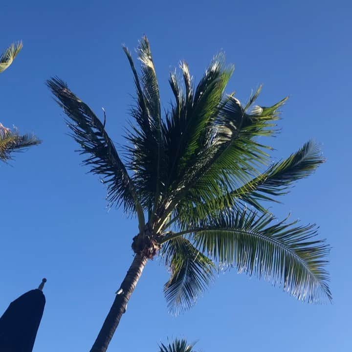 スーザン・ルッチのインスタグラム：「Time to reflect and refresh—so grateful!  Wishing you all a Happy Healthy New Year full of Love, Joy, and Hope❤️❤️❤️. I just have to add to my wish for all of you: ❤️Great times and laughter❤️」