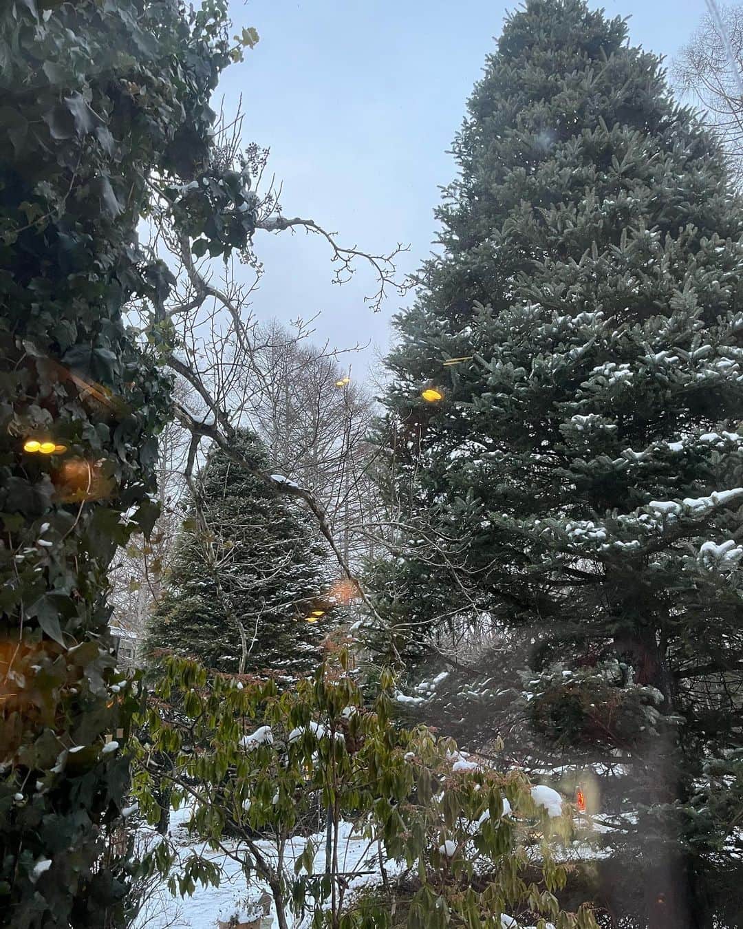 橋村依里南（泉屋アイナ）さんのインスタグラム写真 - (橋村依里南（泉屋アイナ）Instagram)「とても寒いけどとても綺麗な雪です❄️❄️❄️」12月31日 17時12分 - h__irina_a