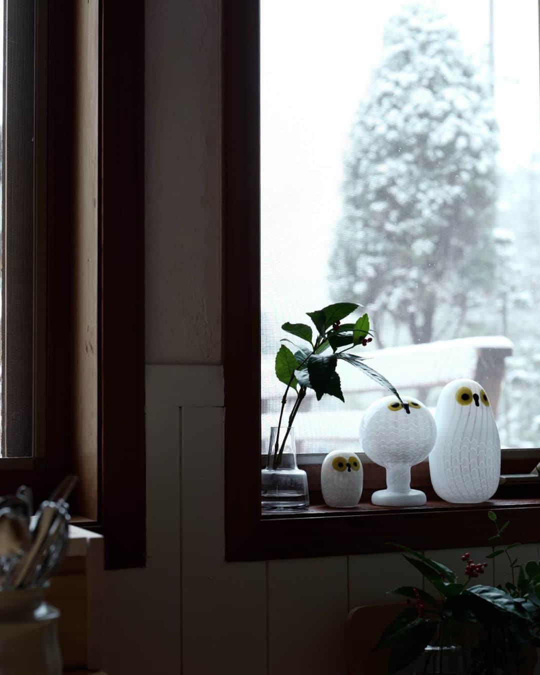 のインスタグラム：「スコープアパートメント 掃除も終わりまして 今日から帰省と思いましたら 外は雪が積もってました。  雪が積もると大変なんだけれど でも綺麗だなぁーとも思うので 来年もいろいろ大変なことも あるんだろうけど、よいことも 沢山あるだろうから、まぁ 精一杯やってみようと思います。  では、みなさま ゆく年、くる年、よいお年を～  かくし芸大会って 今年は放送しない？」