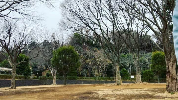 アクア新渡戸のインスタグラム：「雪だ〜‼️ テンション上がる⤴︎⤴❄️️( '-' ❄️️ )     #雪降ってきたよ❄️   #新林公園」
