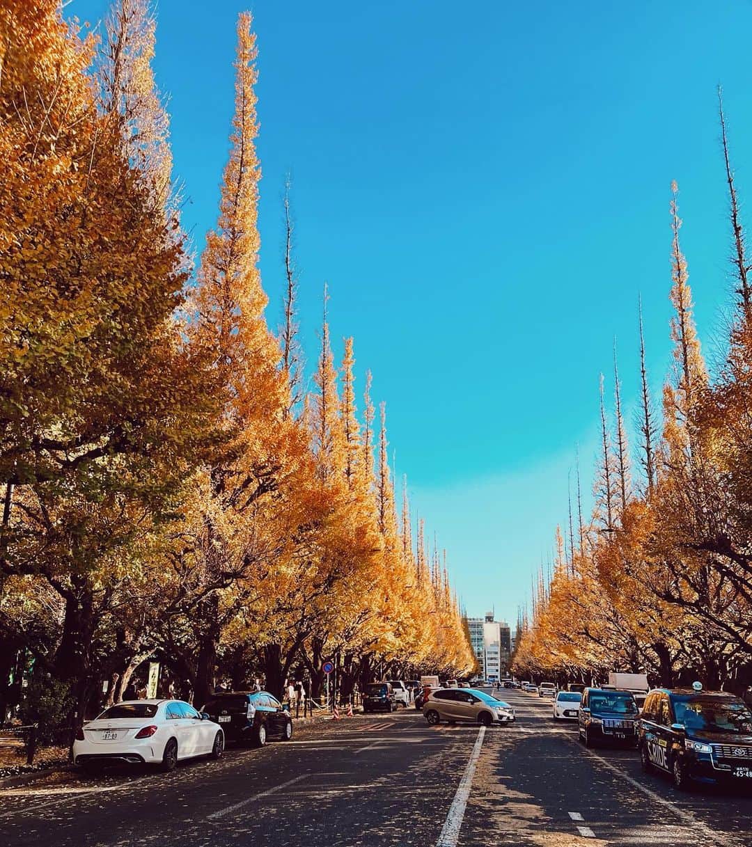 ななぴさんのインスタグラム写真 - (ななぴInstagram)「秋の色味大好き🍁 日本にいるとどんな季節も意味があり 全てが美しくてどれも素晴らしいって思う☺️  前は春夏が好きだったけど いまは秋冬も大好き❤︎  #tokyo #銀杏並木」12月31日 11時59分 - __nanapgram__